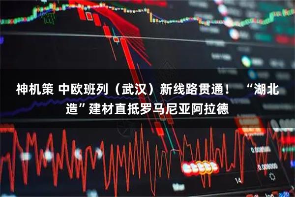 神机策 中欧班列（武汉）新线路贯通！  “湖北造”建材直抵罗马尼亚阿拉德