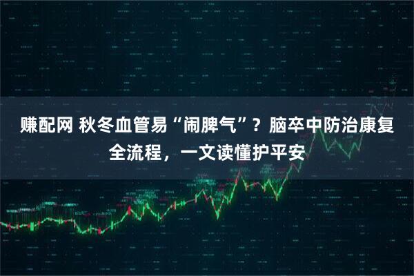 赚配网 秋冬血管易“闹脾气”？脑卒中防治康复全流程，一文读懂护平安