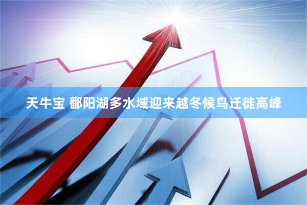 天牛宝 鄱阳湖多水域迎来越冬候鸟迁徙高峰