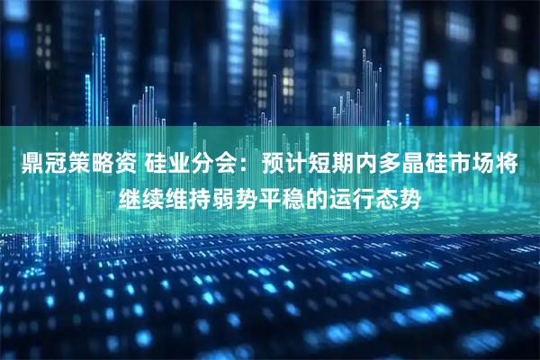 鼎冠策略资 硅业分会：预计短期内多晶硅市场将继续维持弱势平稳的运行态势