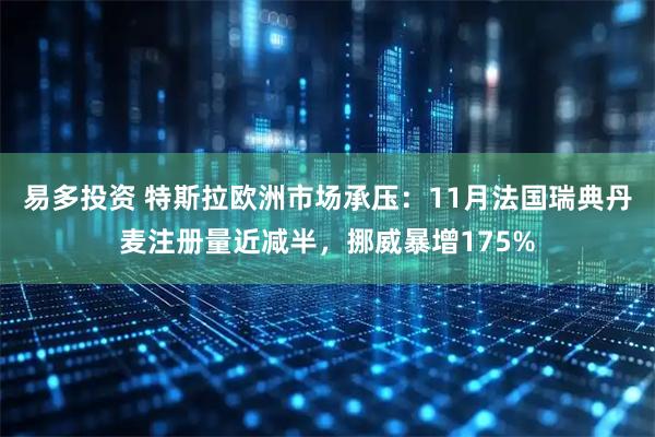 易多投资 特斯拉欧洲市场承压：11月法国瑞典丹麦注册量近减半，挪威暴增175%