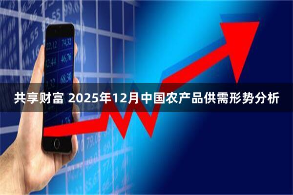 共享财富 2025年12月中国农产品供需形势分析