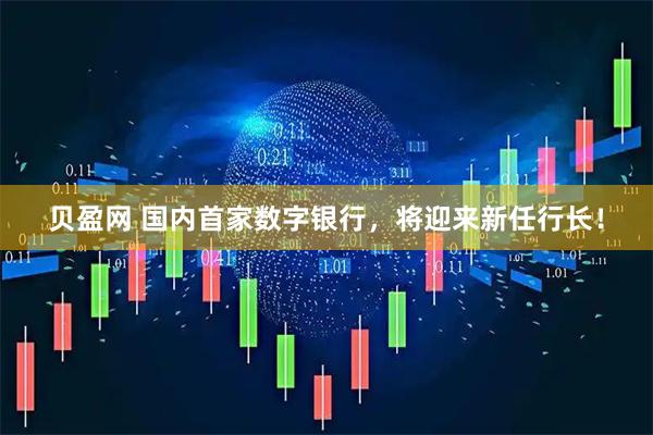 贝盈网 国内首家数字银行，将迎来新任行长！