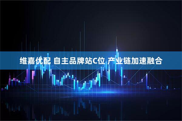 维嘉优配 自主品牌站C位 产业链加速融合