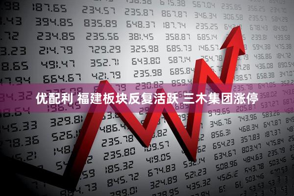 优配利 福建板块反复活跃 三木集团涨停