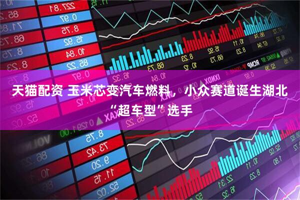 天猫配资 玉米芯变汽车燃料，小众赛道诞生湖北“超车型”选手